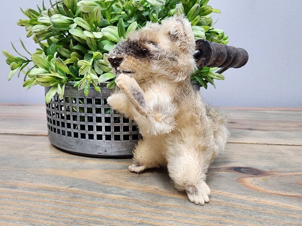 Vintage Steiff Raccy Raccoon Mohair 1960s Miniature Plush Missing Paw